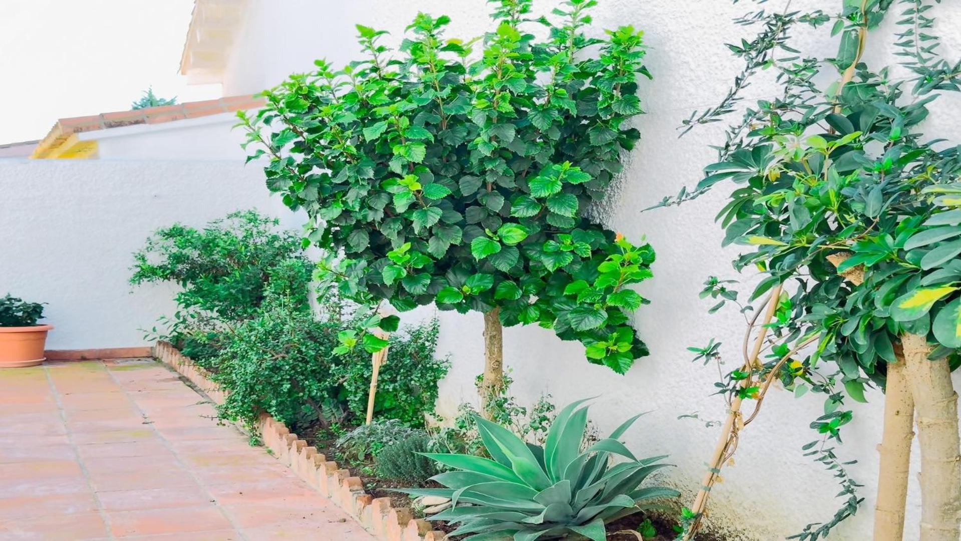 Vivienda Con Encanto Goya Nº4 Benalmadena Ngoại thất bức ảnh